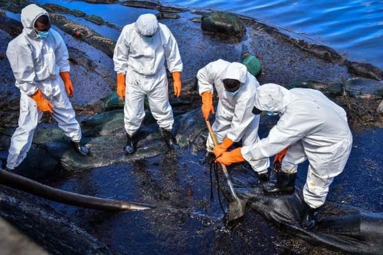 <p>Söz konusu yunus ölümleri, petrol faciasından sonra bildirilen ilk yunus ölümleri oldu. Petrol faciasından sonra bölgede çok sayıda balık ve yengeç ölü bulunmuştu. Yetkililer, bu kadar ölü yunusun aynı anda bulunmasının çok nadir olduğunu ve en son Mayıs 2019'da aynı anda 2 yunusun ölü bulunduğunu belirtti.</p>
<p> </p>