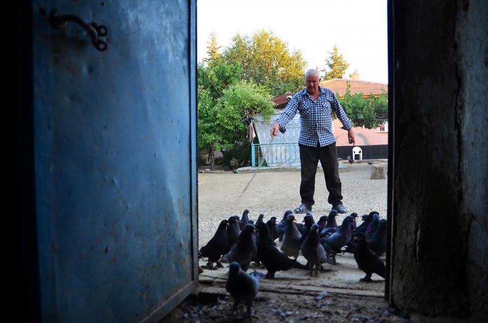 <p>Yılmaz, bakımı iyi yapılan bir güvercinin 15-20 yıla yakın yaşadığını sözlerine ekledi</p>
