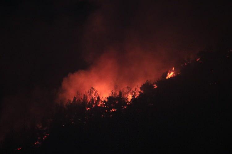 <p>Alınan bilgiye göre, Karaisalı ilçesine bağlı Yerköprü mevkiinde ormanlık alanda, akşam saatlerinde yaklaşık 3 hektarlık Kızılçam Ormanlık alanında yangın çıktı. </p>
