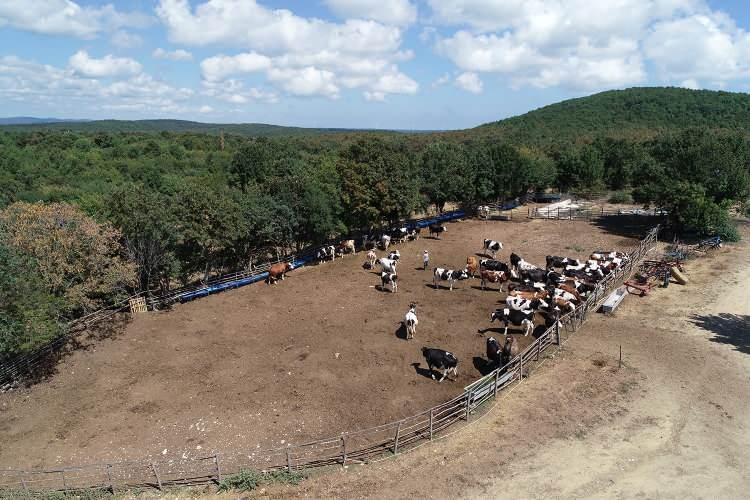 <p>Köyde çok mutlu olduklarını kaydeden Aydın, şunları belirtti:</p>
<p>"Hayatımız güzel. Köyde olduğum için çok mutluyum. Güzel bir hayatımız var. Köyde bir şeylerle uğraştığınız için zaman çabuk geçiyor. Ben köy hayalimi gerçekleştirdim. Severek yapılan her iş başarılı oluyor. Bazı yakınlarımız, 'Şehirden neden geldin?', 'Biz senin yerinde olsak gelmezdik.' diyor ama ben hiç birine kulak asmadım. Sadece işimi yaptım."</p>
<p> </p>