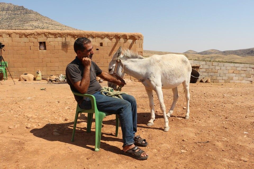 <p>Eşeğine 'Öksüz' adını veren Dinler, "Çobanlık yaptığımda eşeğime ihtiyacım oluyor. Şimdi kalan taksitlerini ödemekte güçlük çekiyorum. Öksüz, elimden alınırsa üzülürüm" dedi.</p>
<p> </p>