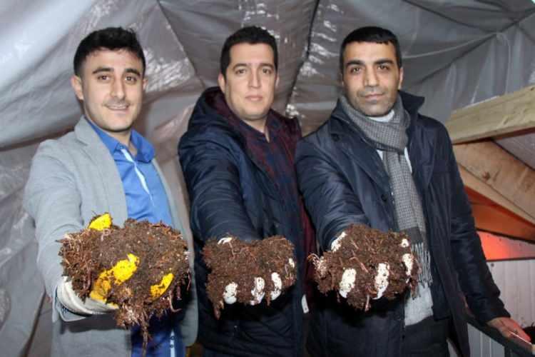 <p>Elazığ’da internette sosyal medya hesaplarında gördükleri solucan gübresi işini merak eden 3 arkadaş, kurdukları tesis ile ayda 15 bin lira para kazanmaya başladı.</p>

<p> </p>
