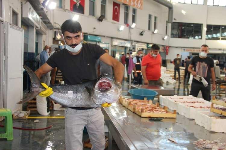 <p><strong>“Bugün fiyatlar yarıya düştü”</strong><br />
<br />
İzmir Balıkçı İşadamları Derneği Başkanı Mehmet Şahin Çakan da, "Av sezonumuz hayırlısıyla başladı. Gece denizdeki arkadaşlarımızla görüştük. </p>
