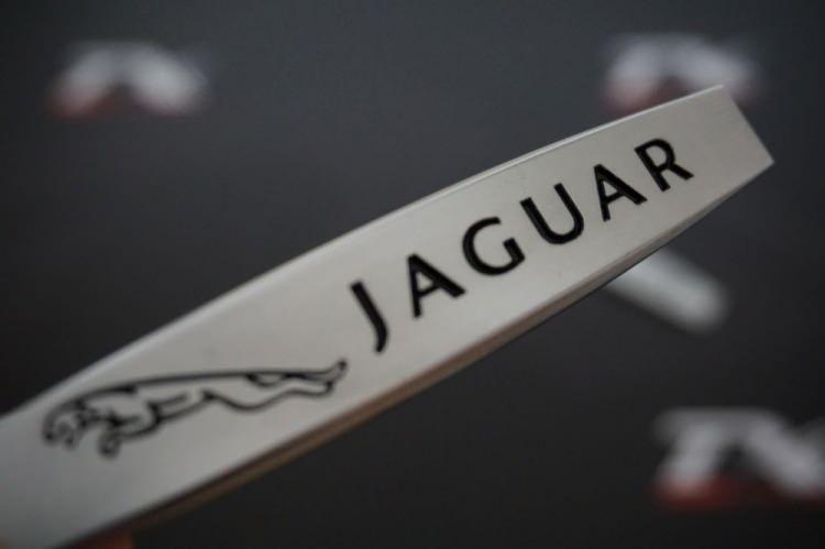 <p>Jaguar: 15</p>
