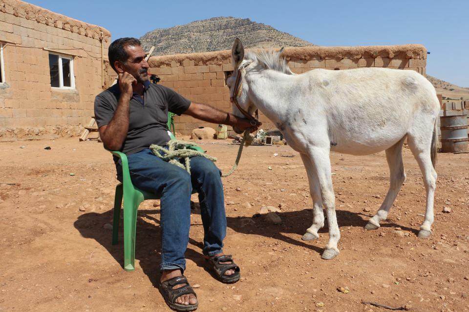 <p>Mardin'in Kızıltepe ilçesinde, çoban Celal Dinler’in, 700 liraya anlaşarak 7 taksit şeklinde satın aldığı eşeği, kalan 5 taksiti ödeyemediği için elinden alınacak. </p>