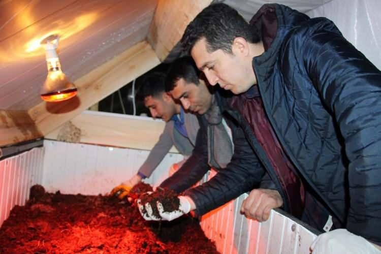 <p>Elazığ’da farklı işlerle uğraşan İbrahim Karaman (31), Nihat Bulut (42) ve Mahir Tekin (31) sosyal medyada gördükleri solucan gübresi işini merak etti. Bunun üzerine 6 ay araştırma yapan 3 arkadaş, solucan gübresi işine girmeye karar verdi. </p>

<p> </p>
