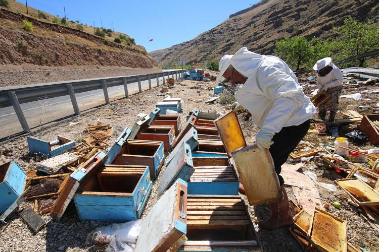 <p>Kaza yerinden toparlanan 2 ton bal ve 50 kovan arı, Bingöl Arıcılar Birliğince gönderilen kamyonetle kazada hayatını kaybeden arıcaların ailelerine teslim edilmek üzere Bingöl'e yollandı. </p>

<p> </p>
