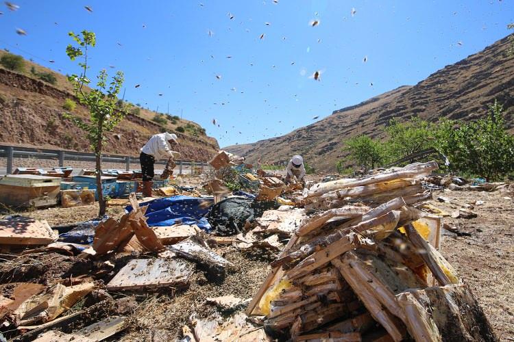<p>Sosyal medyadan başlattığı çağrıya toplumun her kesiminden kısa sürede destek geldiğini anlatan Güçlü, şöyle devam etti:</p>
<p> </p>
<p>"Kazadan sonra doğaya dağılan arı ve etrafa saçılan balın toplanması için çalışma başlattık. Sabah erken saatte kaza yerine arıcı arkadaşlarla giderek bir plan yaptık. Kamyondan geriye kalan malzemeleri inceledik. Bunları kurtarmak için önce kovanları tamir ettik. Daha sonra kullanılabilir durumdaki balları toparlayarak kovanlara yerleştirdik. Etrafa dağılan arıları, kaya yarıklarından, ağaç başlarından ve topraklı alanlardan gece gündüz iki gün süren çalışmayla toparlayarak tamir edilen 50 kovana yerleştirdik. Kaza alanında işe yarar ne varsa hepsini istifleyerek gönderilmeye hazır hale getirdik."</p>
<p> </p>