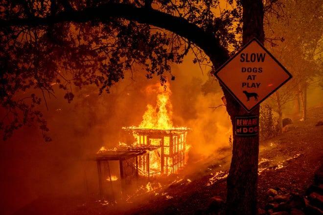 <p>ABD'nin Kaliforniya eyaletinde çıkan orman yangını sürüyor. Yangın, Sierra Ulusal Ormanı Shaver ve Huntington göllerinin yakınında hızla yayılmaya devam ediyor</p>
