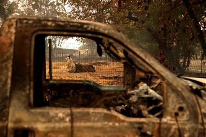 <p>Kaliforniya Valisi Gavin Newsom, orman yangınları nedeniyle eyalete bağlı 5 kasabada olağanüstü hal ilan edildiğini duyurdu.</p>
