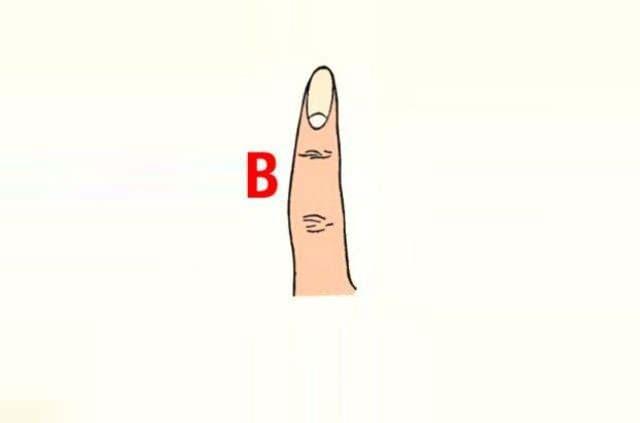 <p><strong>B tipi parmağa sahipseniz...</strong></p>
<p>B tipi parmak şekline sahipseniz biraz kuralsız ve oyuncusunuz. Yeni insanlarla tanıştığınızda çekingen bir yapıya sahipsiniz ve ilk yaklaşımı hep karşı taraftan bekliyorsunuz.</p>