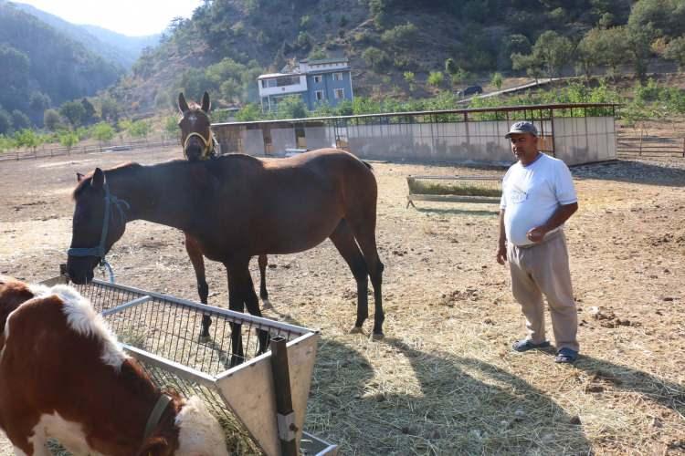 <p>Özorman, tarlasının bulunduğu alanda elektrik olmadığını aktararak, "Kurduğum güneş panelleriyle saatte 10 kilovatlık elektrik enerjisi üretiyorum. Bunu kullanım için yapıyoruz. Bölgede elektrik yok." dedi.</p>
<p> </p>