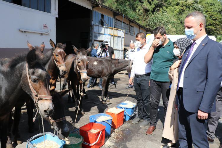 <p>Artık biz de pazar günü itibariyle onların yükünü sırtlarından alıyoruz. Onları emekliye ayırıyoruz. Pandemi sebebiyle çalışmalar bir nebze sekteye uğradı. </p>
