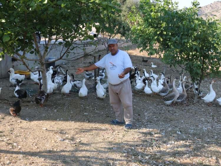 <p>Özorman, çiftlikte inek, koyun, keçi, at, köpek, tavuk ve ördek gibi çok sayıda hayvanın bakımını yaptığını anlatarak, "Vaktimi bunlarla geçiriyorum. Domates, marul, biber, salatalık ve birbirinden farklı ürünler yetiştiriyorum. Tavuklarımızdan her gün organik yumurtalarımızı alıyoruz. Emekli olduktan sonra kader bizi buraya getirdi; çiftçi yaptı, çoban yaptı." ifadelerini kullandı.</p>