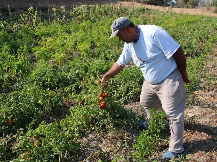 <p>Özorman, Nallıhan-Mudurnu sınırında yer alan araziyi, adeta çiftliğe dönüştürerek kendisine yeni bir yaşam alanı oluşturdu.</p>
<p> </p>