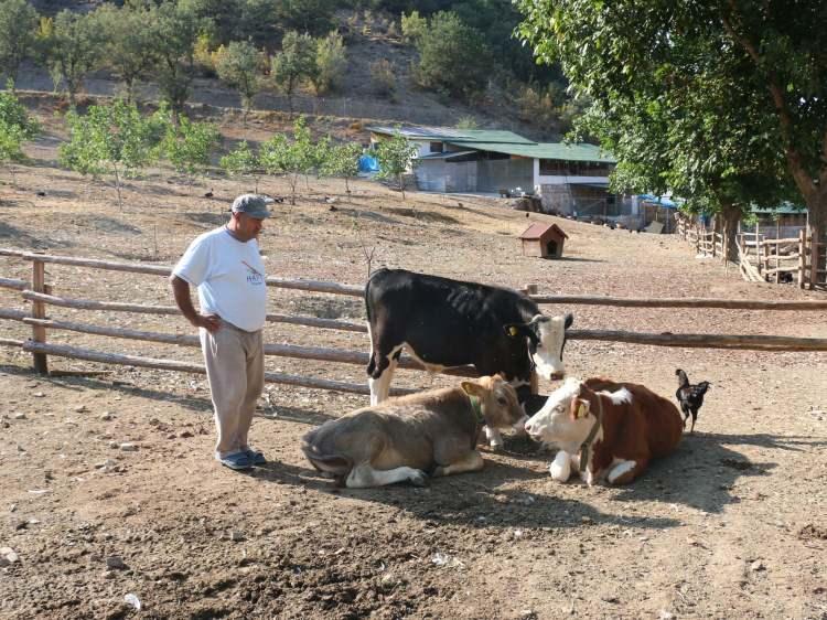 <p>Çalışırken hiç görmeden satın aldığı araziyi emeklilik döneminde değerlendirdiğini dile getiren Özorman, şunları kaydetti:</p>
<p>"6 yıl önce görmeden aldım bu tarlayı. Burada doğayla iç içe yaşıyorum. Bahçe sulaması için 170 tonluk bir havuz yaptım. 2 yarış atımız var. Bunlarla yavru yetiştiriciliği yapacağız. Türkiye Jokey Kulübüne bir katkımız olacak. Bunlar tamamen hobi amaçlı." </p>
<p> </p>