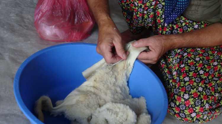 <p>50 Peynirli Şehir Kitabı lansmanında görücüye çıkan peynire sipariş yağıyor<br />
Muhtar Kocagül, yapım aşamasının meşakkatli olduğunu belirterek, "Uzun süren bir işlemi var. Tanıtım sonrasında herkes peynir istemeye başladı. Biz de elimizden geldiğince orijinaline sadık kalarak vatandaşlarımıza yünlü tulum peynirini üretiyoruz" dedi.</p>