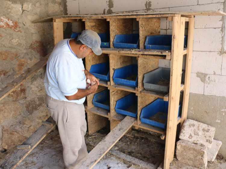 <p>Araziye bir ev yaptıktan sonra geri kalan bölümüne 300 ceviz ağacı diken Özorman, çiftlikteki 5 inek, 20 koyun, 60 keçi, 2 at, 5 köpek ile 200 tavuk ve ördek gibi çok sayıda hayvanın bakımını yapıyor.</p>
<p> </p>
