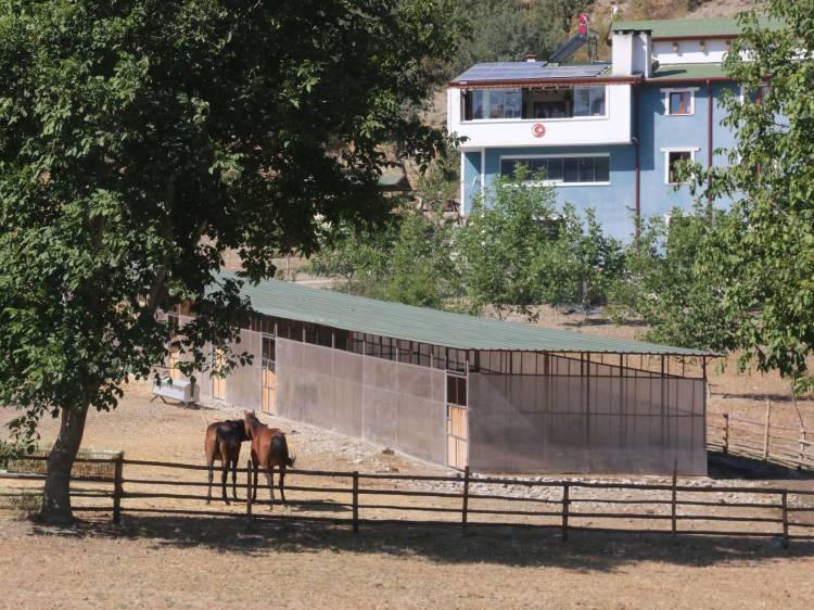 <p> İstanbul'da uzun yıllar medikal sektöründe çalıştıktan sonra emekli olan Cemalettin Özorman, 6 yıl önce hiç görmeden satın aldığı 17,5 dönümlük araziyi verimli hale getirerek çiftçilik yapmaya başladı.</p>
<p> </p>