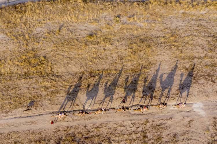 <p>Son yıllarda ilginin arttığı deve turuna katılan turistler, Kapadokya'daki peribacaları ve doğal kaya oluşumlarıyla kaplı vadilerde gezinti yapıyor.</p>

<p> </p>
