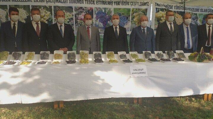 <p>Türkiye'de hiçbir bölgede bulunmayan ve yeni geliştirilen yaklaşık 30 üzüm çeşidi Tekirdağ Bağcılık Araştırma Enstitüsü Müdürlüğünce düzenlenen Bağbozumu Şenliği'nde sergilendi.</p>

<p> </p>
