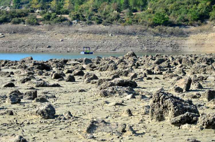 <p><strong>"Kurak bir dönem yaşıyoruz"</strong></p>
<p>Çanakkale Onsekiz Mart Üniversitesi (ÇOMÜ) Deniz Bilimleri ve Teknolojisi Fakültesi Öğretim Üyesi Doç. Dr. Deniz Anıl Odabaşı, AA muhabirine yaptığı açıklamada, bu yıl dünya genelinde kuraklığın etkili olduğunu söyledi.</p>