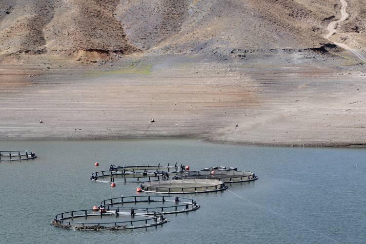 <div>Muradiye ilçesi sınırlarında bulunan 1 milyon 150 bin metreküp su kapasiteli, 10 bin metrekarelik alana sahip Sarımehmet Barajı yaz aylarında yaklaşık 12 bin hektarlık bir alanı sulamak için kullanılırken, baraj gölünde aynı zamanda ağ kafes balıkçılığı da yapılıyor. </div>
