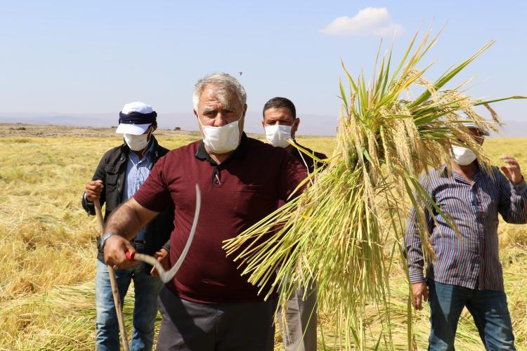 <p>"Devlet destekleri devam ediyor"<br />
Karacadağ &ccedil;eltiğine devletin de desteği olduğunu vurgulayan Vali Karaloğu, &ldquo;Şu anda mazot ve g&uuml;bre desteği 66 liralık d&ouml;n&uuml;m başına mazot ve g&uuml;bre desteği var devletimizin. Aynı zamanda 10 kuruşta kilogram başına destekleme fiyatımız var ve her sene b&ouml;lgede Karacadağ pirincinin hasatı artıyor 2016'da 5 bu&ccedil;uk ton olan &uuml;retim ge&ccedil;en sene 7.6 bin tona &ccedil;ıkmış inşallah bu sene verimli.&nbsp;</p>
