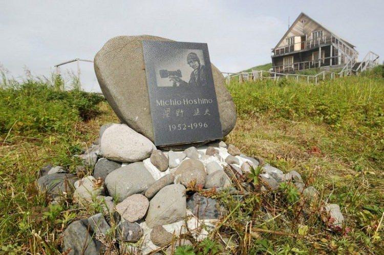 <p>Fakat &uuml;nl&uuml; fotoğraf&ccedil;ının yayınlanan biyografisinde b&ouml;yle bir fotoğraftan bahsedilmiyor. Biyografide Hoshino&rsquo;nun ayı tarafından ormana g&ouml;t&uuml;r&uuml;ld&uuml;ğ&uuml; fakat t&uuml;m aramalara rağmen bulunamadığı belirtiliyor. Bu nedenle bu fotoğrafın tamamen fotomontaj olduğu da iddia ediliyor.</p>
