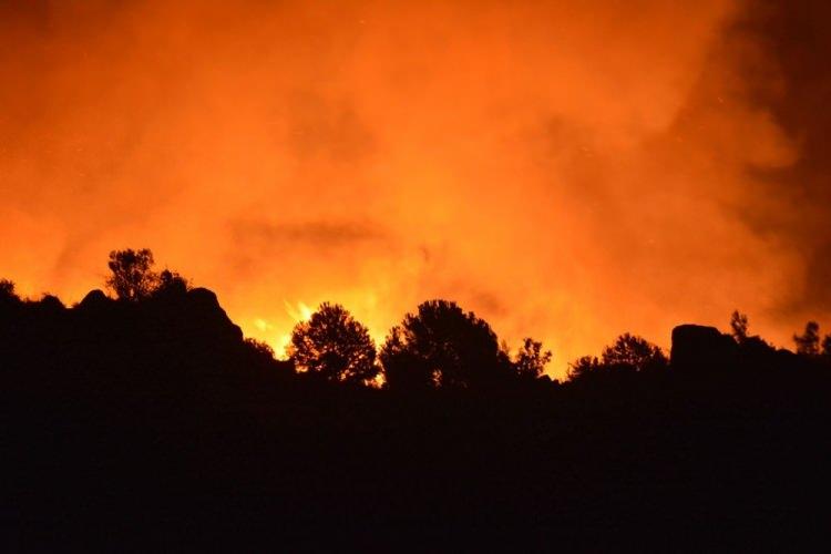 <p>Yangının çıkış sebebine ilişkin yapılan araştırmalarda, görgü tanıkların iddiasına göre, ailesiyle tartışan M.C. (36) isimli kişinin, "Yakarım bu Dikili’yi" diye bağırdığı duyuldu.Kısa süre sonra da çevre yolunun yakınında bulunan otluk alanda yangının başladığı ifade edildi. Yangını çıkarttığı ileri sürülen M.C, Dikili İlçe Emniyet Müdürlüğü ekipleri tarafından gözaltına alındı. Yangın ile ilgili başlatılan soruşturma sürüyor.</p>
