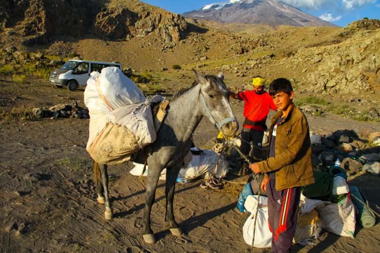 <p>Dayanıklı ve g&uuml;&ccedil;l&uuml; yapıları nedeniyle b&ouml;lgede k&ouml;yl&uuml;lerin y&uuml;k taşımada kullandığı katırlar, Ağrı Dağı'na tırmanış yapan sporcuların da en &ouml;nemli yoldaşı oluyor.</p>

<p>&nbsp;</p>
