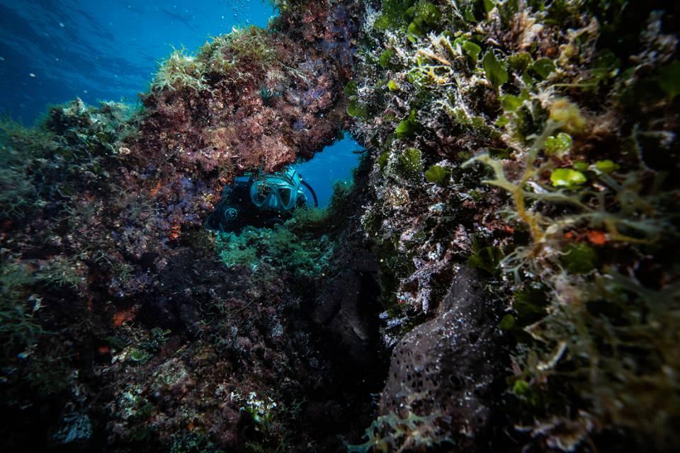 <p>&Ccedil;eşme'de faaliyet g&ouml;steren Derin Doğa Dalış Merkezi sahibi Erdin&ccedil; Erg&uuml;n, AA muhabirine yaptığı a&ccedil;ıklamada, b&ouml;lgenin hem fauna hem de flora bakımından zengin olduğunu s&ouml;yledi.</p>

<p>&nbsp;</p>
