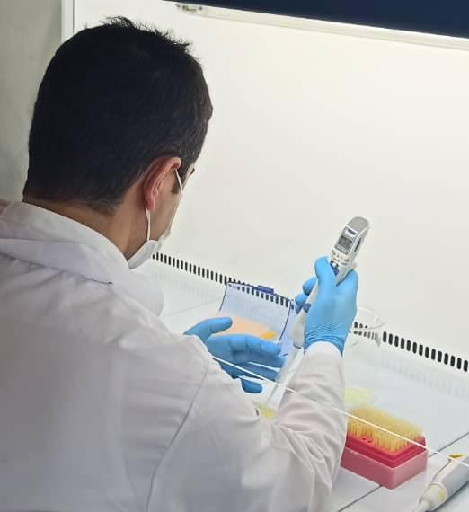 Elisa testi ile hem korona vir&uuml;s hem de antikorun oranı tespit edilebilecek!