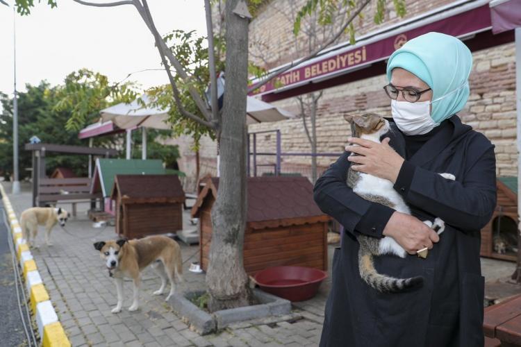 <p><span style="color:#800080"><strong>Cumhurbaşkanı Erdoğan'ın eşi Emine Erdoğan, 4 Ekim Hayvanları Koruma Günü dolayısıyla bir sosyal medya paylaşımında bulundu. Yedikule Hayvan Barınağı'nı ziyaret eden Erdoğan paylaşımında,  1 Kap Su 1 Kap Mama kampanyasına desteğini açıkladı ve 4 Ekim Hayvanları Koruma Günü'nü kutladı.</strong></span></p>
