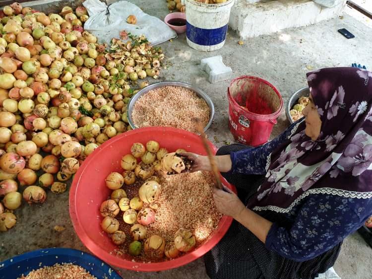 <p>Kadirli Ziraat Odası Başkanı Hanifi İspir de nar ekşisinin bölge ekonomisine önemli katkı sağladığını söyledi. Organik olması nedeniyle bölgede, talebi hızla artan nar ekşisi üretiminin de buna paralel olarak arttığını bildiren İspir, şunları kaydetti:</p>
<p> </p>