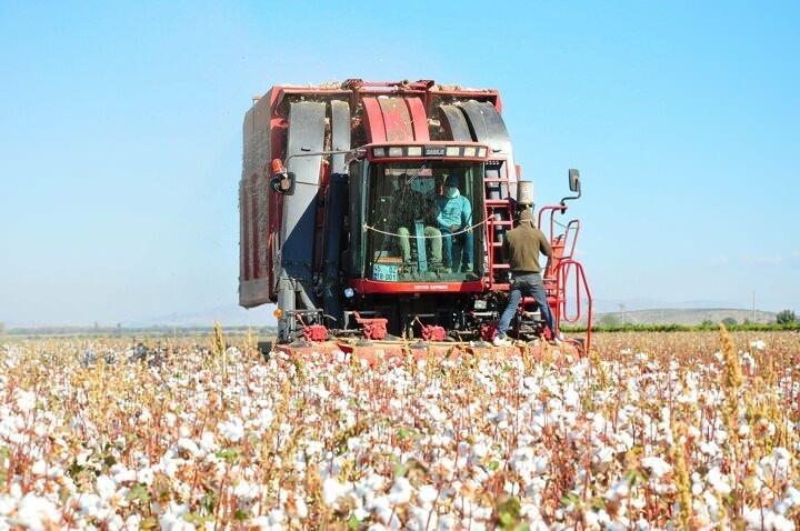 <p>"Bu yıl pamuk hasadı başladığında tek korkumuz yağmurun yağmasıydı. Yağmur yağmadığı i&ccedil;in pamuk şu an kaliteli. İl&ccedil;emiz pamuk olarak lif bakımından Bergama Kınık'tan sonra en iyi uzun lif &ccedil;ıkaran il&ccedil;e. Bu yılki fiyatlar da 4 bin 200 TL civarında. Bunun en azından 4 bin 700 civarında olması lazım. Bir de pamuk primleri 3 yıldan beri hep aynı yerde seyrediyor. Biz pamuk primlerinin devlet b&uuml;y&uuml;klerimiz tarafından y&uuml;kseltilmesini istiyoruz."</p>
