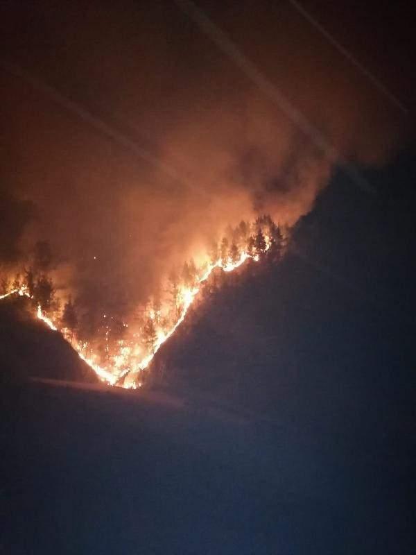 <p>TOPRAK &Uuml;ZERİNDE UYUDULAR<br />
<br />
Yangın s&ouml;nd&uuml;rme iş&ccedil;ilerinin cuma g&uuml;n&uuml; saat 11.15'te başlayan alevlerle m&uuml;cadelesi, 44 saat s&uuml;ren s&ouml;nd&uuml;rme ve soğutma &ccedil;alışmaları sonunda bug&uuml;n saat 07.00 sıralarında sona erdi. Musalı'da 35, Kuzgun'da 25, Kızık'da da 5 olmak &uuml;zere toplam da 65 hektarlık alanın yanıp, k&uuml;l olduğu yangında, yorgun d&uuml;şen bazı yangın s&ouml;nd&uuml;rme iş&ccedil;ileri ise bulundukları yerde toprağa yatıp, uyuma fırsatı bulabildi. O anların fotoğrafları ise arkadaşları tarafından &ccedil;ekildi.</p>
