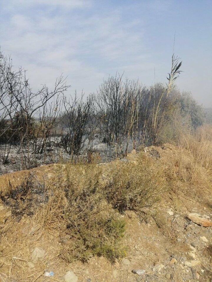 <p>Yangın sırasında bir anda alevlerle karşı karşıya kaldıklarını dile getiren Fatih Mahallesi sakini Mustafa Bilgili, b&uuml;y&uuml;k korku yaşadıklarını ve hızlıca evlerinden ayrıldıklarını s&ouml;yledi.</p>
