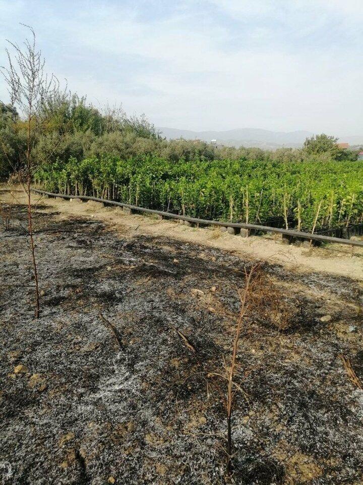 <p>Kentte &uuml;&ccedil; il&ccedil;ede de yangın tamamen kontrol altına alınırken, soğutma ve hasar tespit &ccedil;alışmalarının devam ettiği &ouml;ğrenildi.</p>

