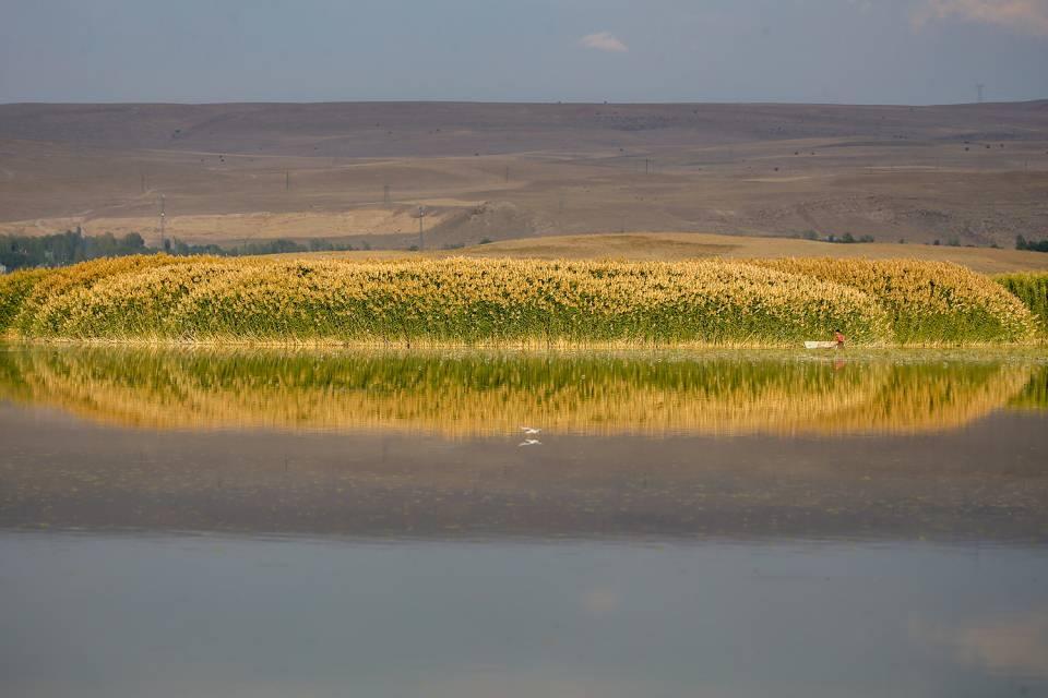 <p>&nbsp;Doğanın muhteşem g&uuml;zelliği, Van G&ouml;l&uuml;'n&uuml;n sığ kıyılarında bulunan ve kuş cenneti olarak da bilinen sazlık alanların sularına yansıyor.</p>
