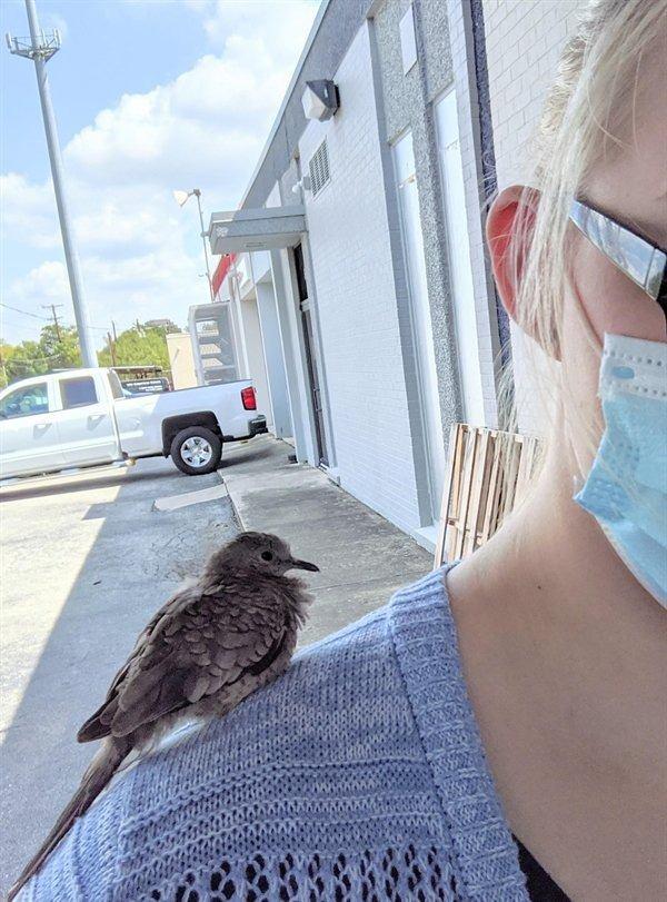 <p>Dünyanın değişik yerlerinden gelen fotoğraflar gerçekten şaşırtıcı. İşte doğadan, günlük hayattan objektiflere yansıyan ilginç fotoğraflar...</p>