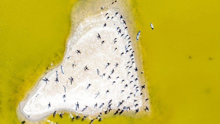 <p>Ankara'nın Gölbaşı ilçesine bağlı Sel Kapanı Göleti'nde, suların çekilmesiyle oluşan adacıklar güzel görüntüler oluşturdu.</p>
