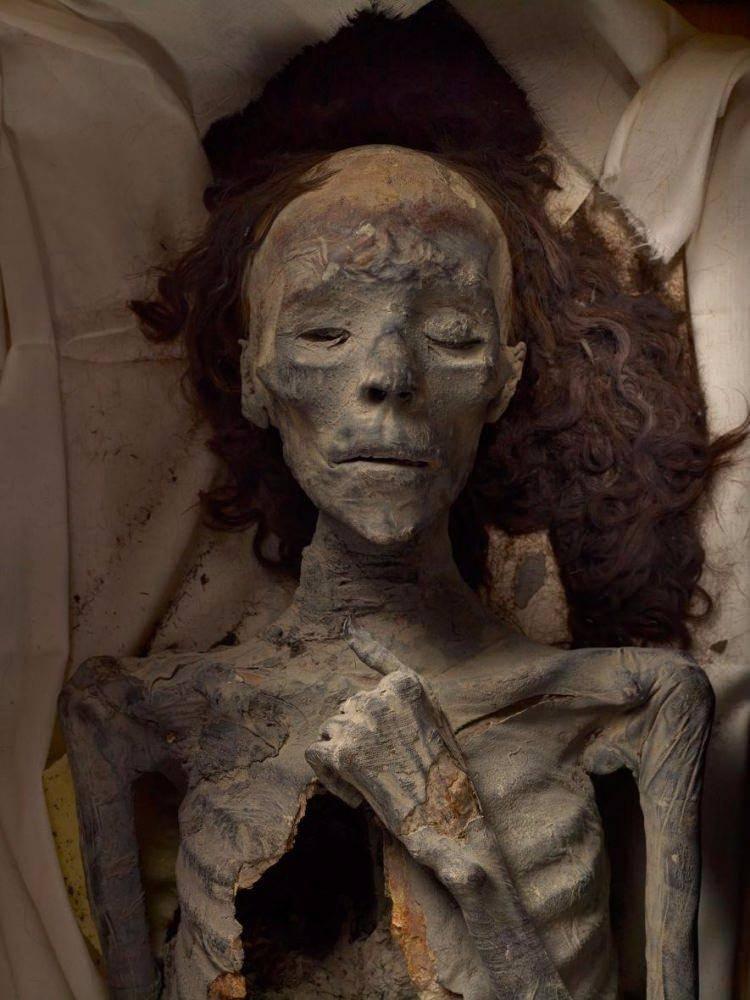 <p><strong>Tutankhamun'un Büyükannesi</strong></p>
<p><br />
DNA analizleri, bu asil güzelin III. Amenhotep’un karısı ve Tutankhamun’un büyükannesi Tiye olduğunu ortaya koyuyor. Bir kraliçenin gömü pozu olarak yorumlanan bir duruşla, sol kolu göğsü üzerinde kıvrılmış olarak mumyalanmış. Mısır’ın kuru iklimi sayesinde saçları bozulmadan kalmış.</p>