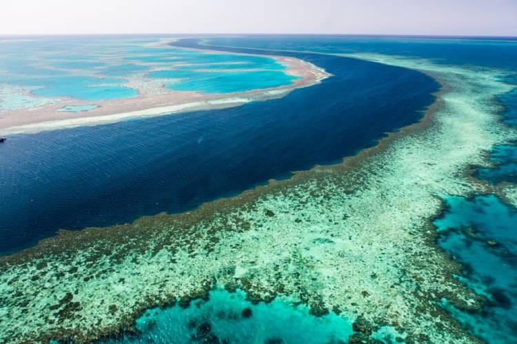 <p>Avustralya’nın Queensland eyaletinden yer alan ARC Centre of Excellence for Coral Reef araştırma merkezinden bilim insanları Büyük Set Resifi’nde bulunan mercanların yarısının son 20 yılda yok olduğunu açıkladı.</p>
