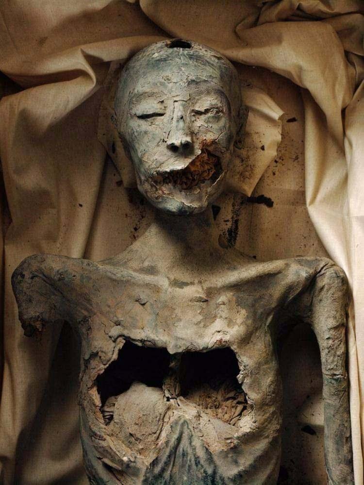 <p><strong>Tutankhamun'un Annesi</strong></p>
<p><br />
DNA testlerine göre Genç Hanım olarak bilinen bu mumya, Akhenaten’in hem anne-baba bir kızkardeşi hem de oğlu Tutankhamun’un annesi. Genç Hanım, muhtemelen II. Amenhotep ve Tiye’nin varlığı bilinen beş kızından biriydi.</p>