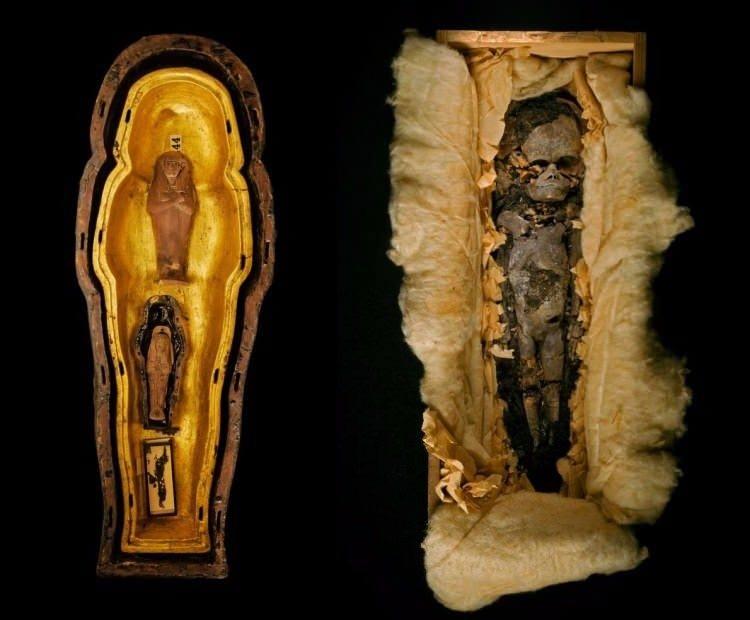 <p><strong>Tutankhamun'un Kızları mı?</strong></p>
<p><br />
Tutankhamun’un mezarında en az yedi aylık gebelik sürecine ait bir fetüs (sağda) ile daha ufak ve kırılgan bir fetüs bulundu. Biri veya her ikisi birden kralın kızları olabilir. Birlikte yerleştirilmiş tabutlarda (solda) Tutankhamun’un büyükannesi Tiye’ye ait olabilecek bir tutam saç bulundu</p>
