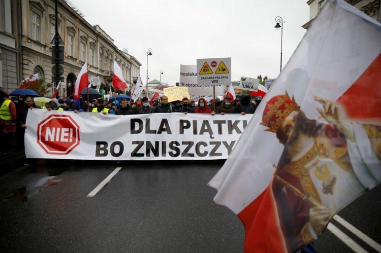 Danimarka koronavirüse yakalanan 2,5 milyon vizonu öldürecek