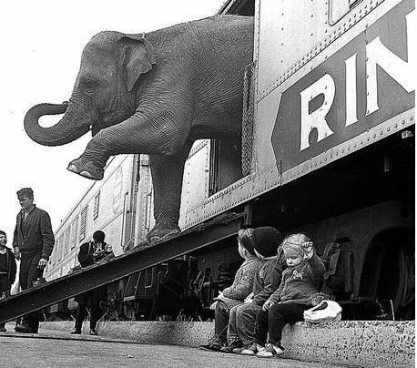 <p>Ringling Kardeşler Sirkine ait bir fil trenden iniyor, New York Yıl 1963</p>