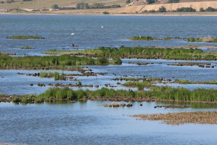 <p>T&uuml;rkiye&rsquo;nin en &ouml;nemli sulak alanlarından olan Samsun&rsquo;daki Kızılırmak Deltası Kuş Cenneti'nde ise su seviyesi yaklaşık 1 metre d&uuml;şt&uuml;.</p>

<p>&nbsp;</p>
