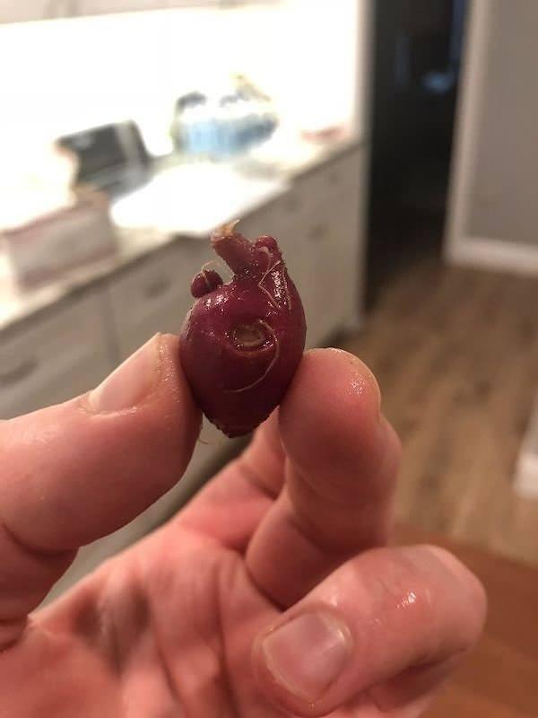 <p>Kalp görünümüne sahip kırmızı küçük patates.</p>
